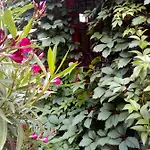 Molino2rosso