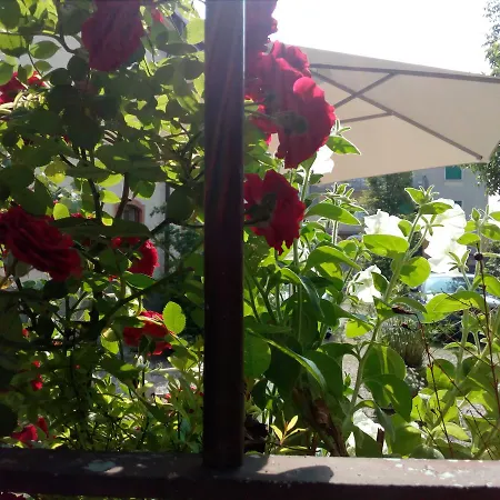 摩里诺罗索住宿加早餐旅馆 住宿加早餐酒店 4*