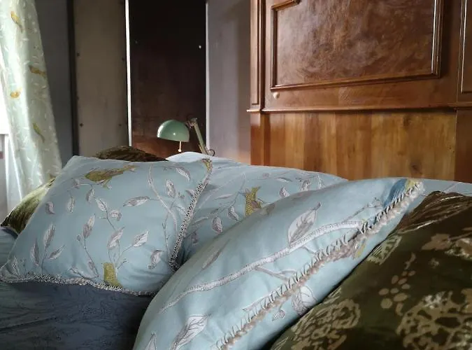 摩里诺罗索住宿加早餐旅馆 住宿加早餐酒店 4*